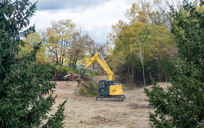 Backhoe Land Clearing