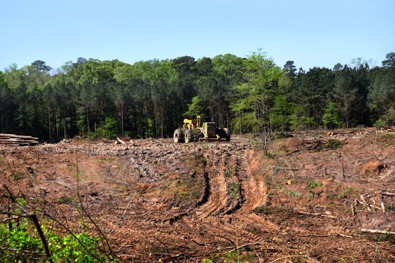 Backhoe Land Clearing