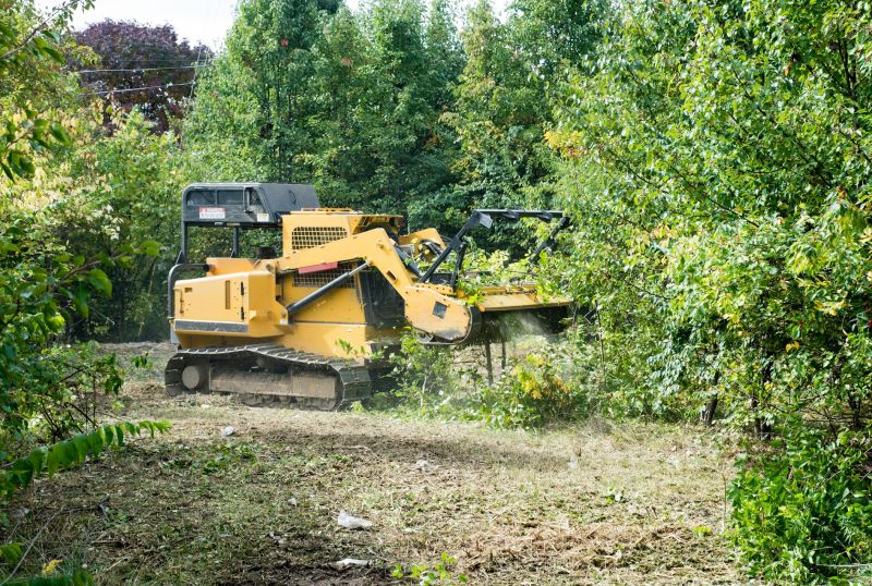 Backhoe Land Clearing