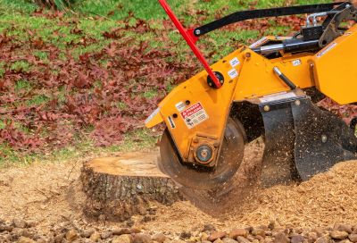 Stump Grinding Tools