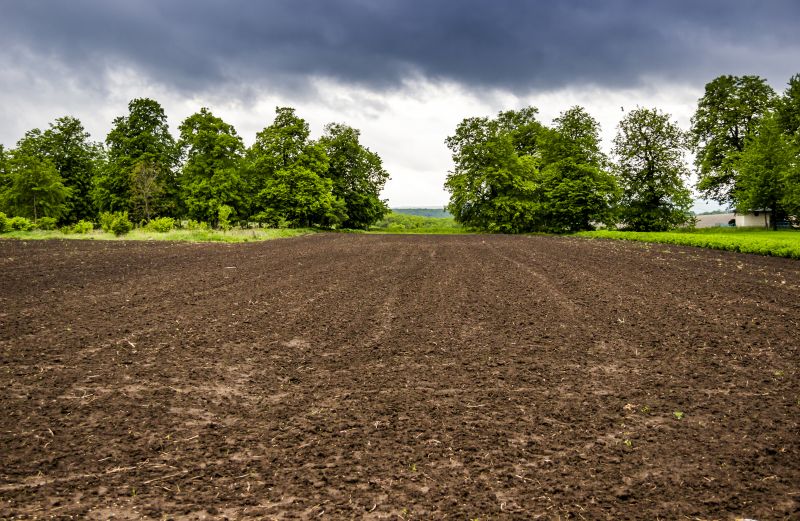 Farm Clearing in Gwinnett County, GA