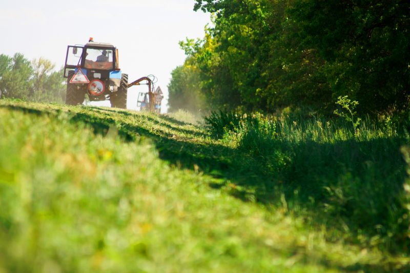 Field Clearing in Utah County, UT