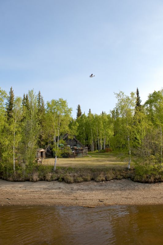 Ground Clearing in Salt Lake City, UT