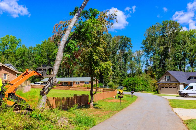 Vegetation Removal Tools