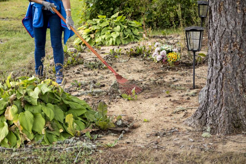 Rock and Debris Clearing