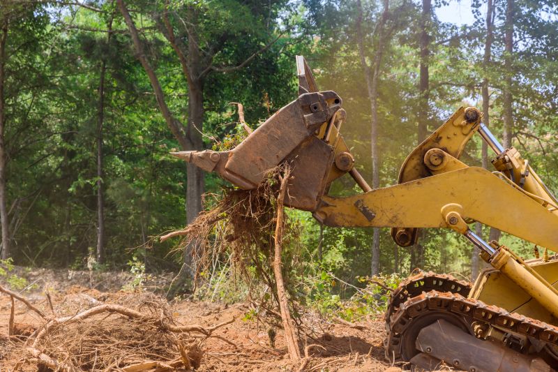 Products For Backhoe Land Clearings in use