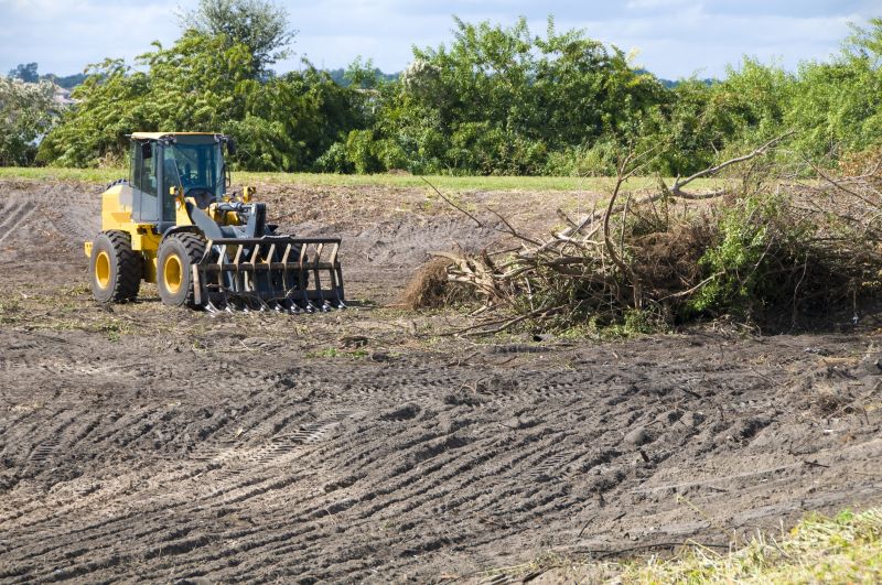 Land Clearing Service